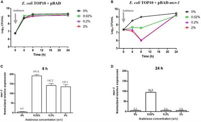 Metabolic Perturbations Caused by the Over-Expression of mcr-1 in Escherichia coli
